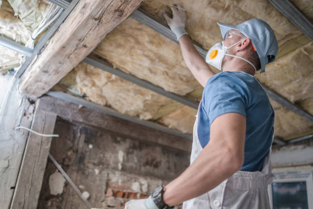 Best Eco-Friendly Insulation in Cocoa Beach, FL