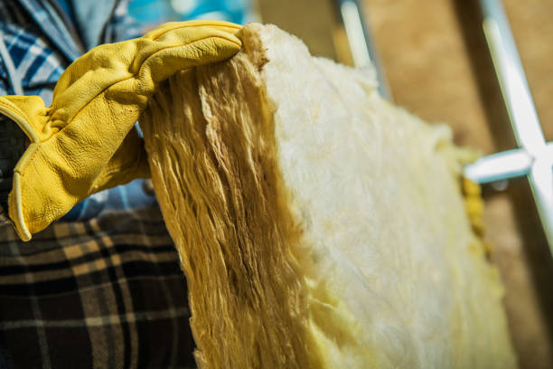 Types of Insulation We Offer in Cocoa Beach, FL