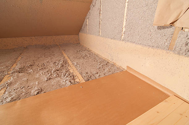 Best Specialized Insulation Services in Cocoa Beach, FL